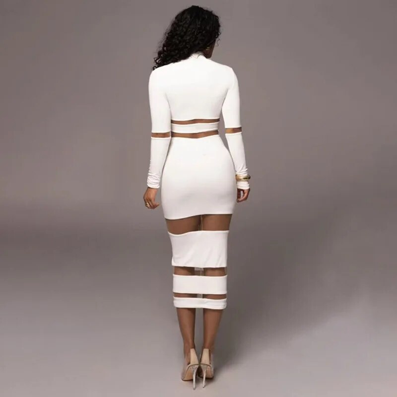 Turtleneck Long Sleeve Midi Dress
