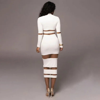 Turtleneck Long Sleeve Midi Dress