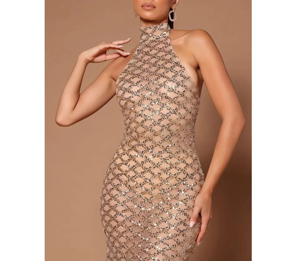 Tina Sequin Maxi Dress