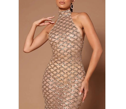Tina Sequin Maxi Dress
