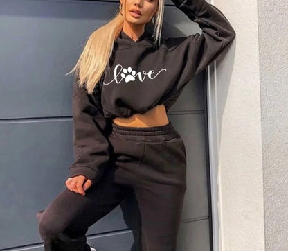 Hooded Sweatshirt Drawstring Short & Top Set Outfit