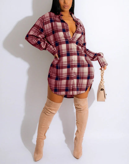 Winter Plaited dress