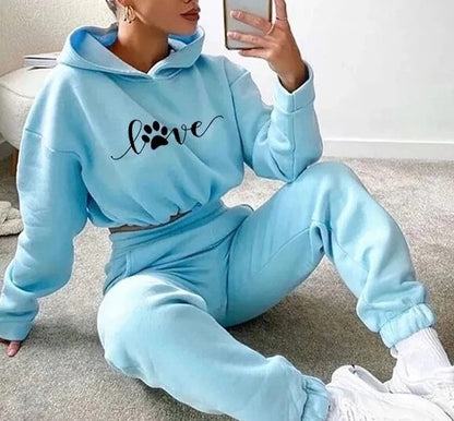 Hooded Sweatshirt Drawstring Short & Top Set Outfit