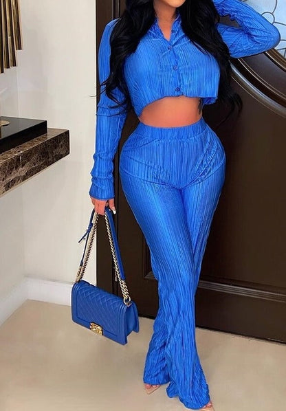 PENII Mini Blouse Shirt and Straight Pants Suit
