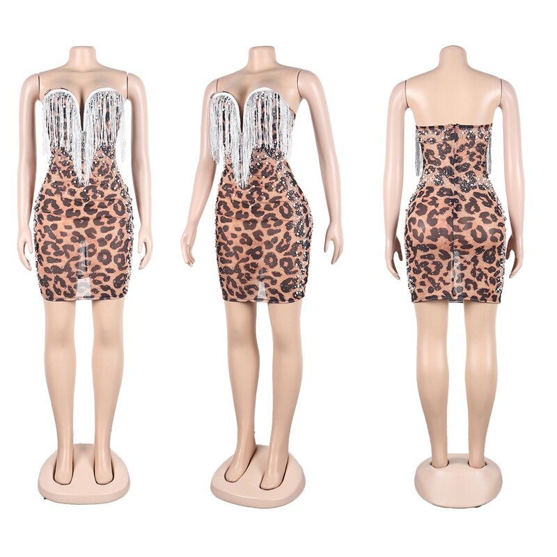 Bodycon See Through Mini Dresses