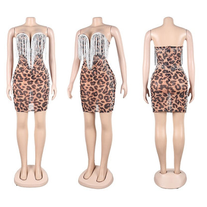 Bodycon See Through Mini Dresses